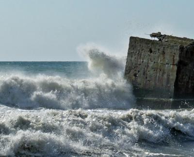 Прикрепленное изображение: DSCF7996.jpg